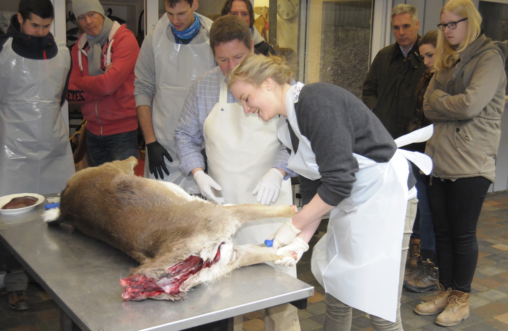 Jagdlehrer Ol Holler zeigt seiner Schülerin Sophie von Korff, wie sie das Stück Damwild richtig aus der Decke schlägt.