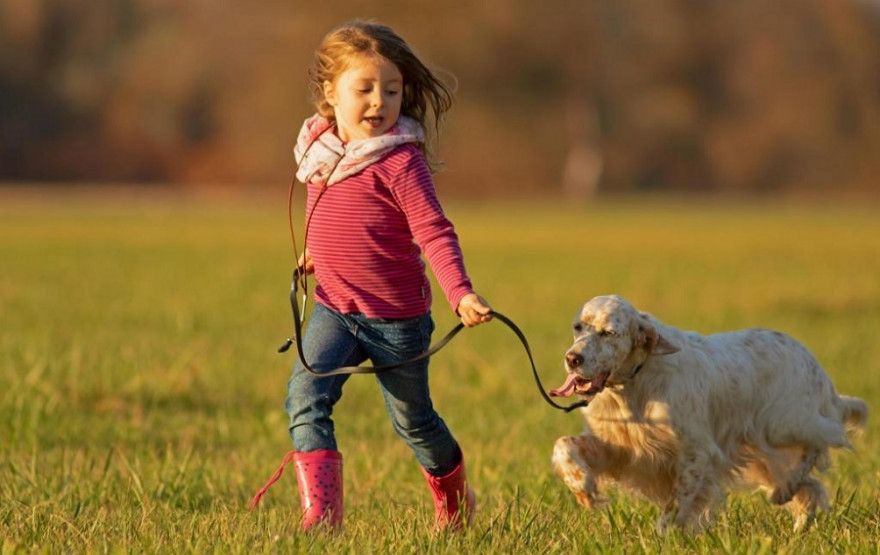 Jagdhunde sind Gefährten und vollwertige Familienmitglieder zugleich. (Quelle: Schlenther/DJV)