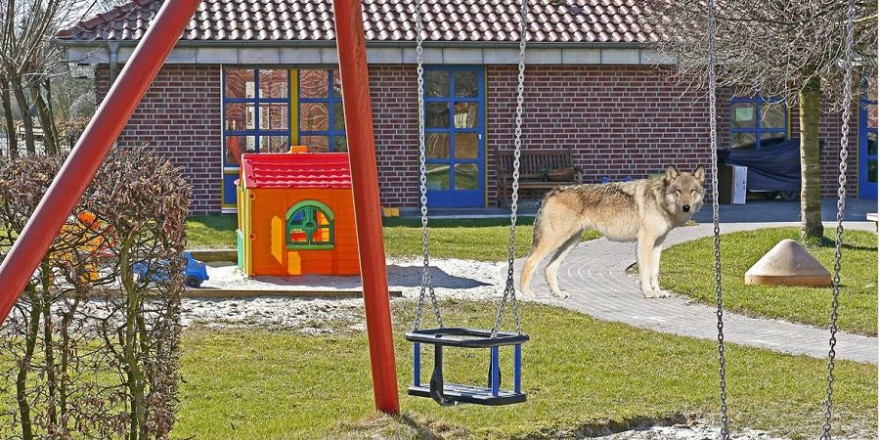 Um die Kinder des „Waldkindergartens Christanslust“ keinem unnötigen Risiko auszusetzen, wurde die Einrichtung geschlossen und die Kinder in einer benachbarten Kita vorläufig untergebracht. (Symbolbild: Skeeze/Erich Westendarp/mlz)