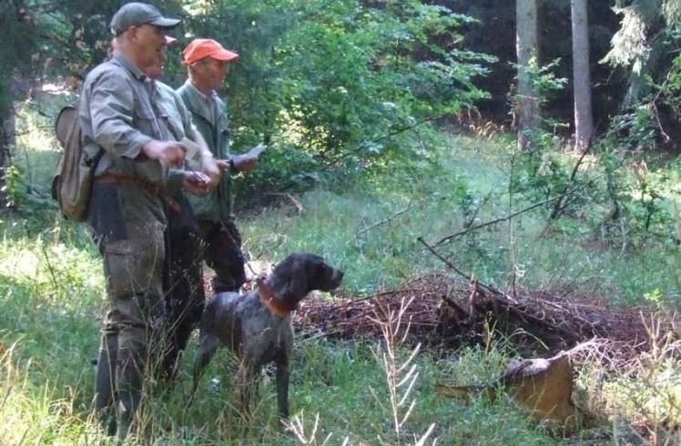 Jäger mit Jagdhund (Foto: LJV)