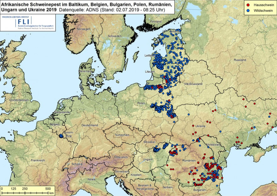 Karte: ASF im Baltikum, in Belgien, Bulgarien, Polen, Ungarn, Rumänien und der Ukraine 2019, Stand 02.07.2019, 09:25 Uhr (Quelle: Friedrich-Loeffler-Institut)