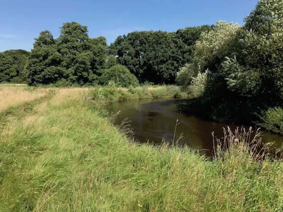 Auf 2,8 Hektar entsteht ein Niederwildparadies mit mehreren hundert Metern Uferlandschaft und einem kleinen Eichenwald.