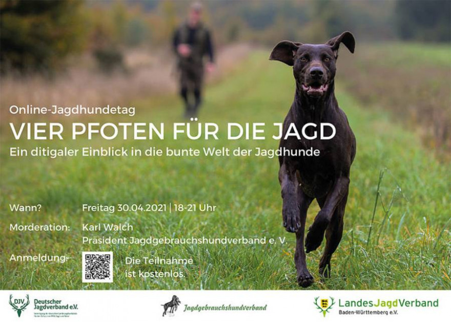 Quelle: Flyer Online-Jagdhundetag