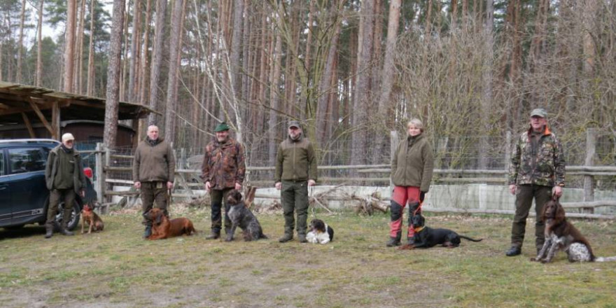 Die ersten sechs Hunde-Gespanne beginnen am Dienstag die einmonatige Ausbildung. (Quelle: LJVB)