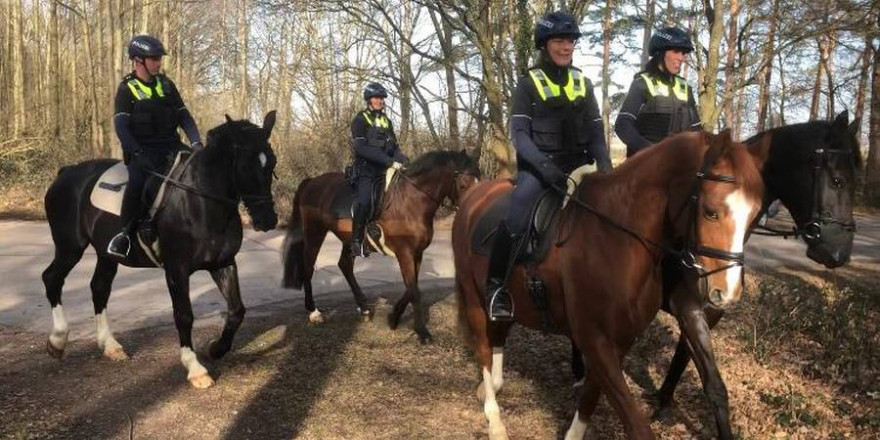 Beamte der Reiterstaffel im Einsatz (Foto: Polizei)