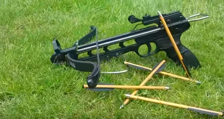 Symbolbild: Mit einer vergleichbaren Waffe wurde die Taube wahrscheinlich beschossen. Quelle: YouTube_The Weapon Channel
