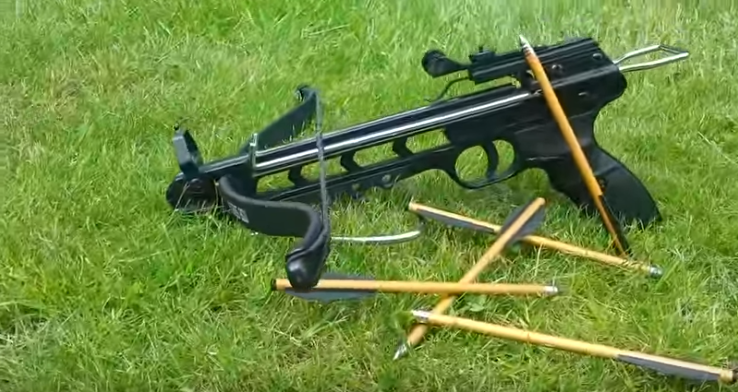 Symbolbild: Mit einer vergleichbaren Waffe wurde die Taube wahrscheinlich beschossen. Quelle: YouTube_The Weapon Channel