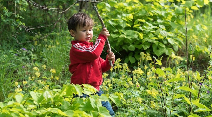 Kind spielt im Wald