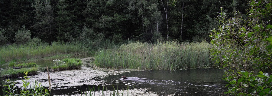 Jägerhände erhalten Lebensräume