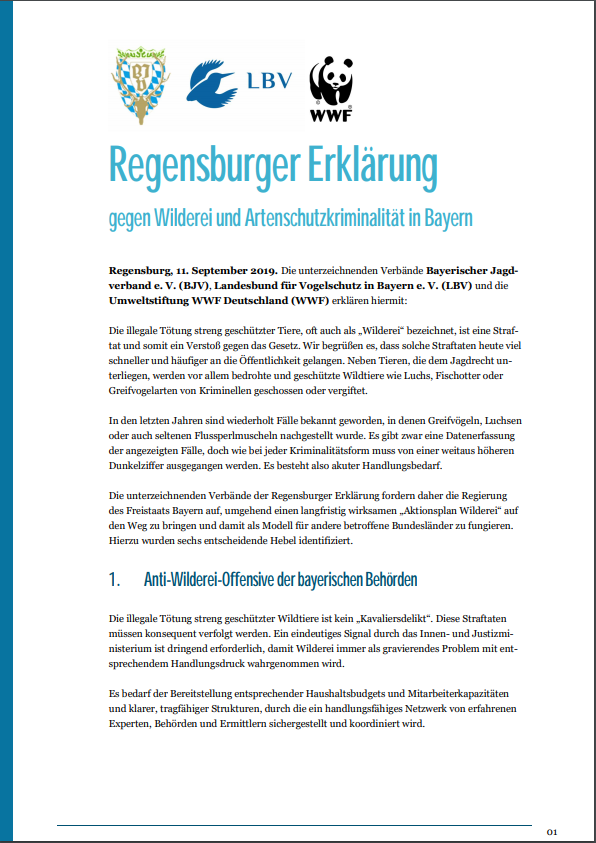 Regensburger Erklärung Seite 1