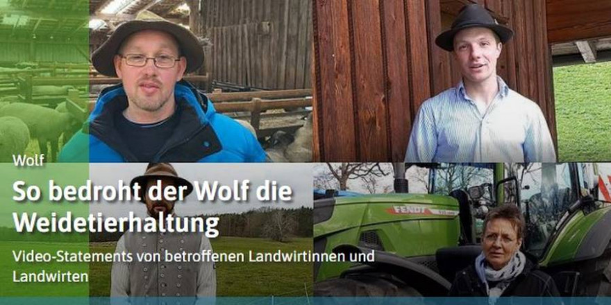 So bedroht der Wolf die Weidetierhaltung. Videostatements von betroffenen Landwirtinnen und Landwirten (Quelle: DBV)