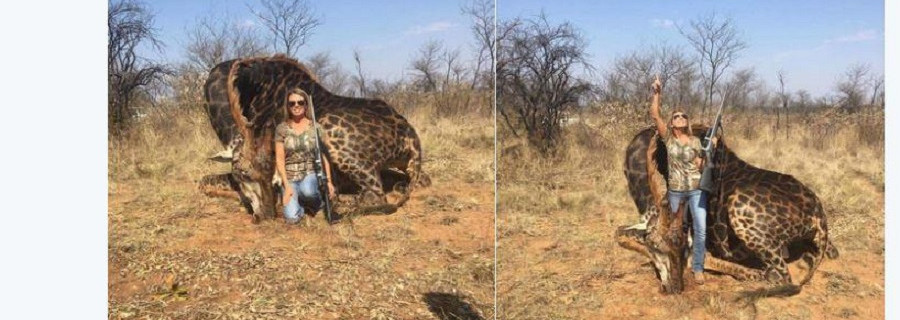 Fotos erlegter Wildtiere treffen auf Unverständnis