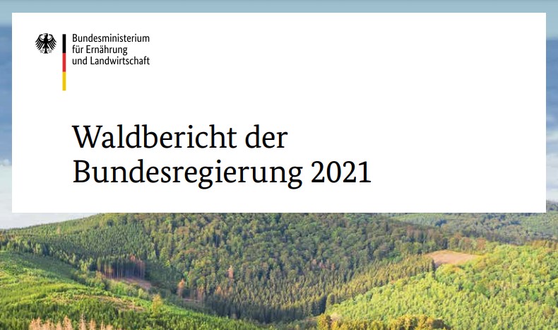 Cover des Waldberichts der Bundesregierung 2021 (Screenshot: BMEL)