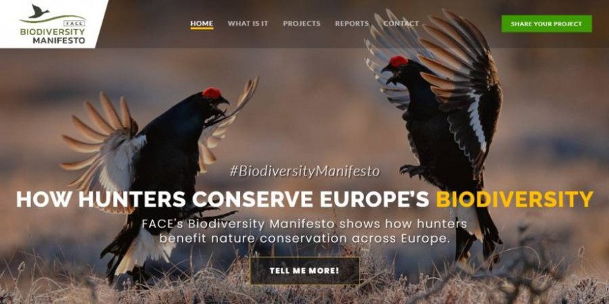 Screenshot der Startseite von BiodiversityManifesto (Quelle: https://www.biodiversitymanifesto.com/)