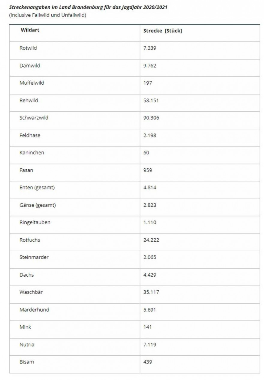 Quelle: Ministerium für Landwirtschaft, Umwelt und Klimaschutz (MLUK) des Landes Brandenburg, 28. September 2021, Potsdam