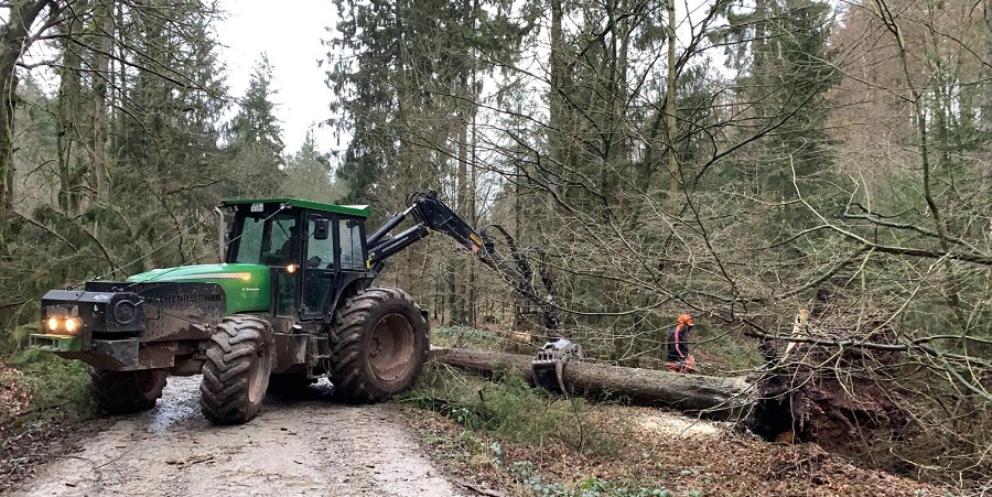 Waldarbeiter bei der Beseitigung von Sturmschäden im Harz (Foto: © Niedersächsische Landesforsten)