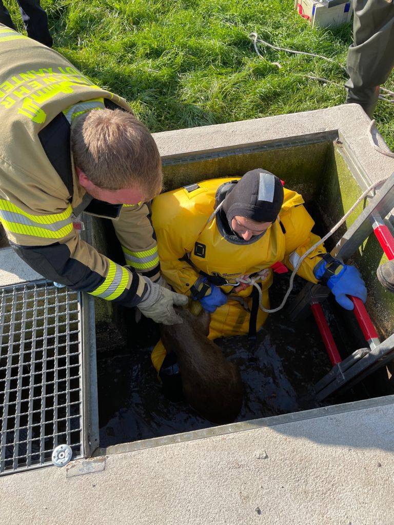 Rettung aus dem schmalen Schacht der Kläranlage (Foto: Feuerwehr Xanten)