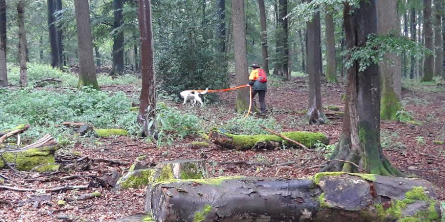 Gespann beim Ablegen der Prüfung (Foto: JGHV)