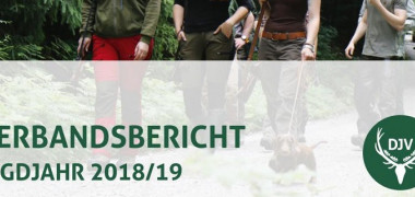 Lesen, verstehen, mitmachen