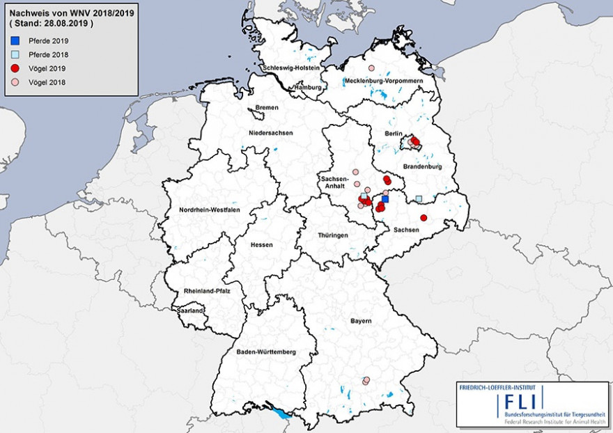 Bestätigte Infektionen mit dem West-Nil-Virus bei Vögeln und Pferden 2018 (hellere Farben) und 2019 (kräftigere Farben), (© FLI)