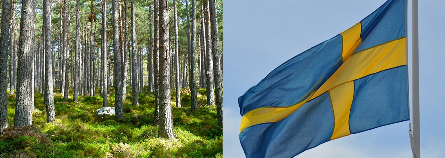 Was die Schweden anders machen