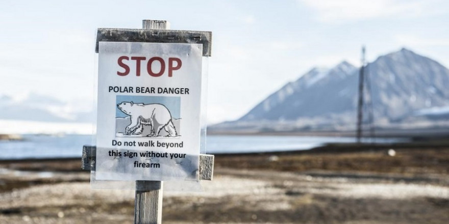 Die Jagd auf Eisbären basiert laut Weltnaturschutzunion IUCN auf Quoten, die jährlich unter Einbeziehung bester wissenschaftlicher und traditioneller ökologischer Maßstäbe gemeinsam mit den Inuit vor Ort festgelegt werden. (Quelle: Pixabay/DJV)