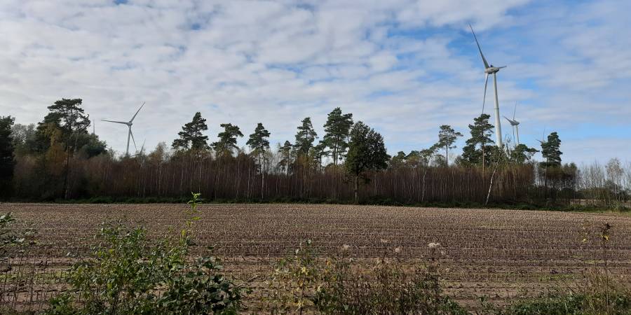 Windräder in einem Waldstück (Beispielbild: mlz)