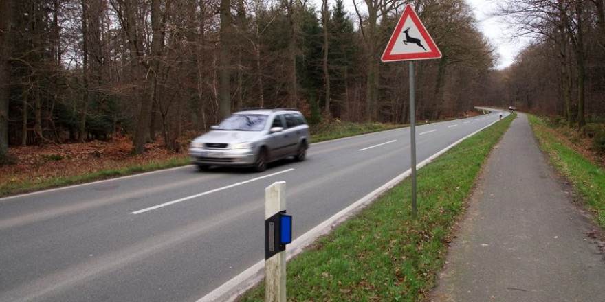 PKW mit Verkehrsschild „Vorsicht Wildwechsel“