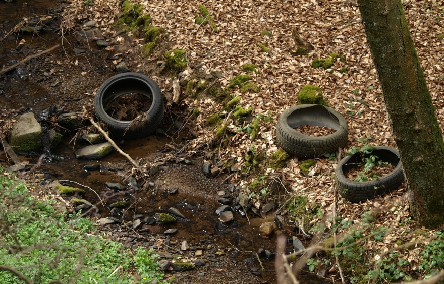 Müll im Wald