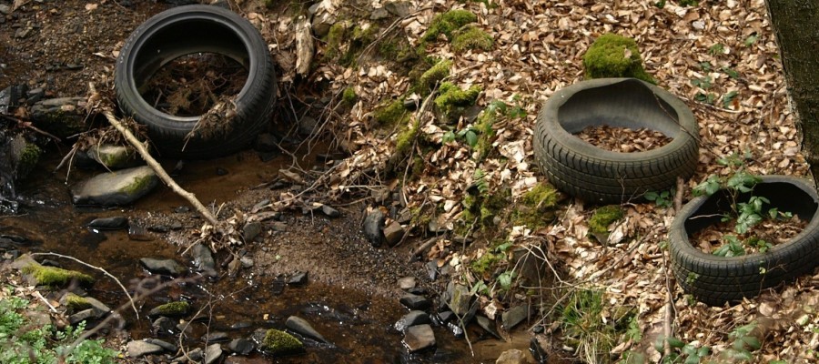 Frühjahrsputz im Sinne von Wild und Natur