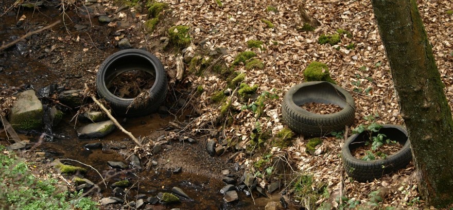 Müll im Wald