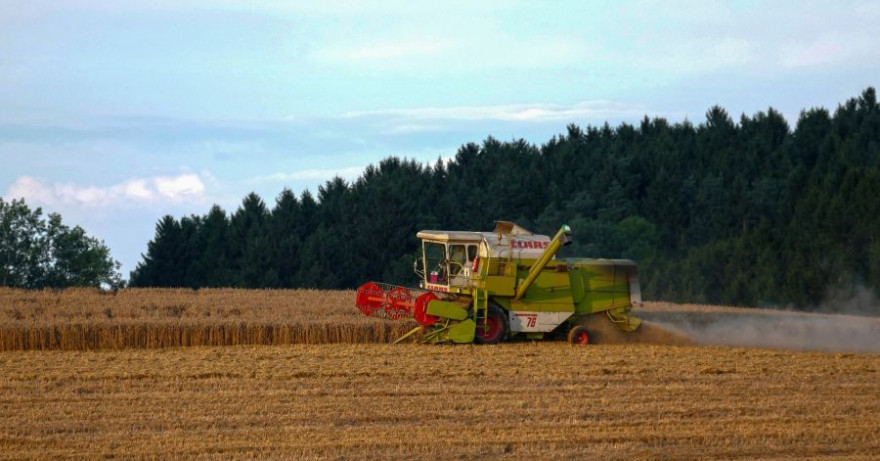 Mähdrescher bei der Ernte