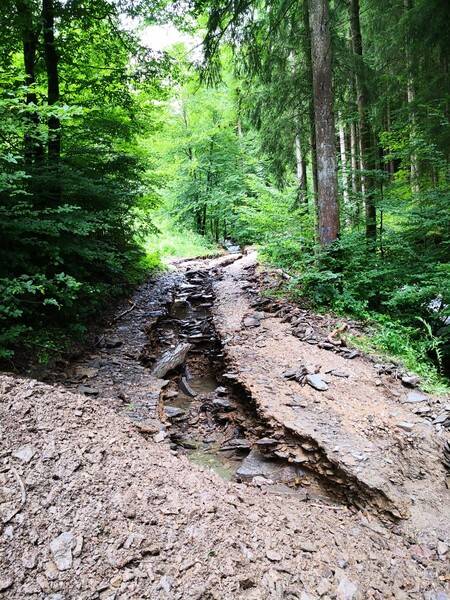 Weggespülter Waldweg im Sauerland (Bild: Wald und Holz NRW).