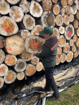 Dr. Bertram Leder, Leiter des Zentrums Wald und Holzwirtschaft, ist sehr zufrieden mit der Holzqualität (Foto: Wald und Holz NRW, Katja Niewienda)