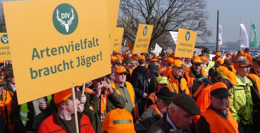 Demo in Düsseldorf