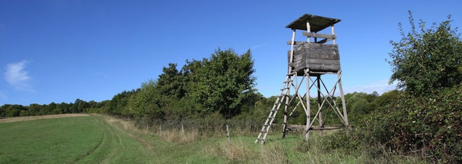 Vandalen zerstören mehr als 60 Hochsitze