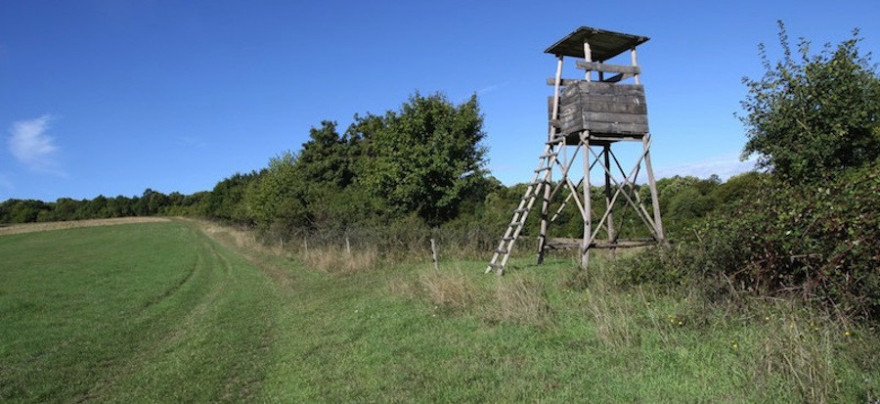 Hochsitz im Revier