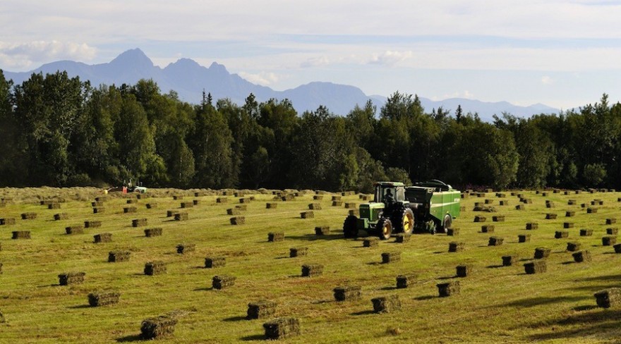 Landwirtschaft