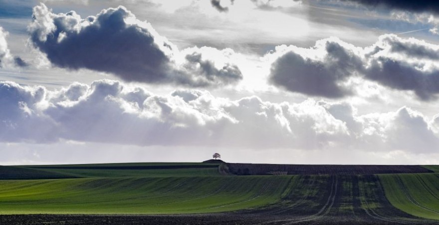 Felder in Niedersachsen