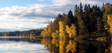 Schweden will Jagdreise-Steuern senken