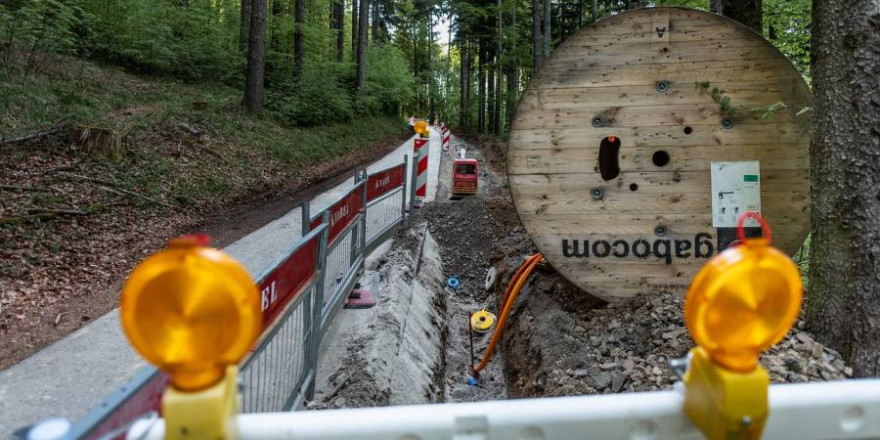 Glasfaserkabel werden durch ein Waldstück gelegt (Symbolbild: linsepc)