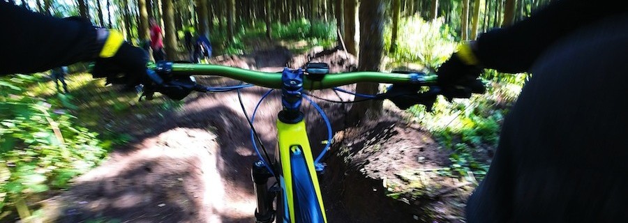 Forst will mehr Sport im Wald