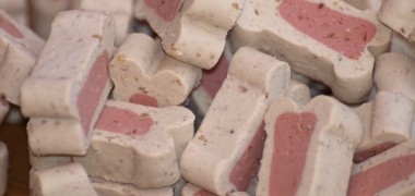 In den Napf geschaut – Nahrung für den Jagdhund