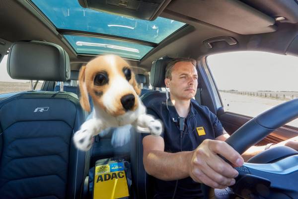 Ein ungesicherter Hund fliegt bei einem Bremsmanöver oder einem Auffahrunfall wie ein Geschoss nach vorne. Lebensgefahr für Tier und Mensch! (Foto: ADAC / Uwe Rattay)