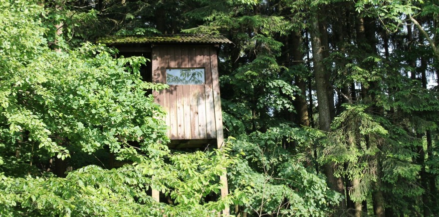 Hochsitz im Wald