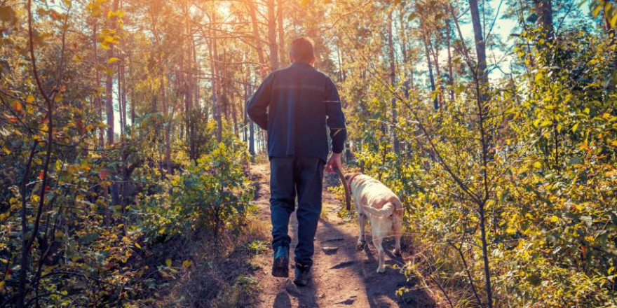 Mann mit Hund an der Leine im Wald (Foto: iStock/vvvita)