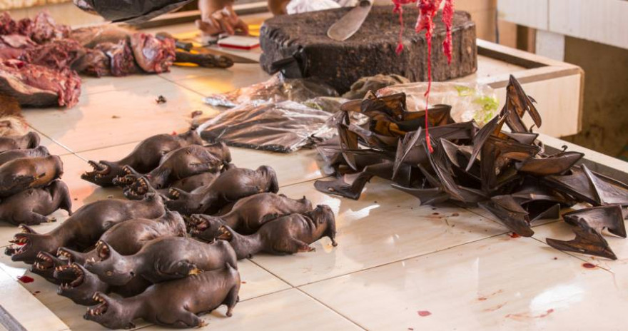 Fledermäuse auf einem Markt in Indonesien (Symbolbild: iStock/mauriziobiso)