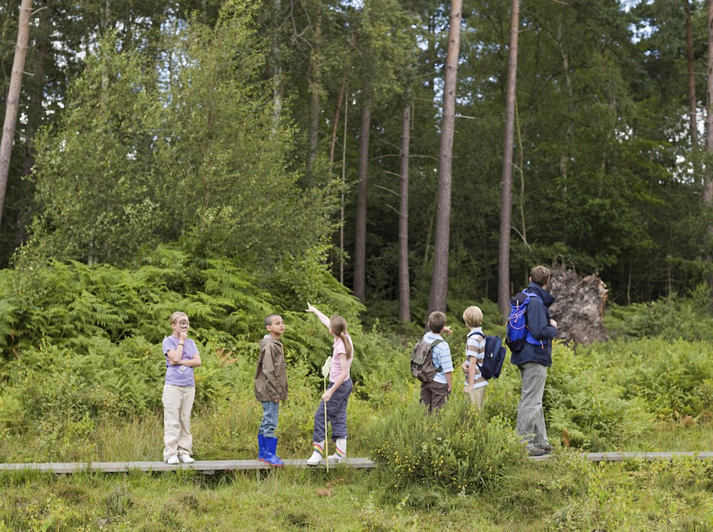 Kinder im Wald