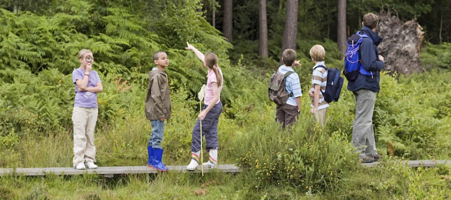Jugendgruppe des Hegerings setzt sich für den Naturschutz ein