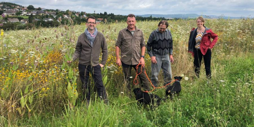 Umweltminister Reinhold Jost, Kreisjägermeister Jürgen Schmitt, Landwirt Erwin Schuster und Franziska Nicke (MUV) auf einer Blühfläche bei Eidenborn in Lebach im Landkreis Saarlouis (Foto: Maik Licher, MUV)